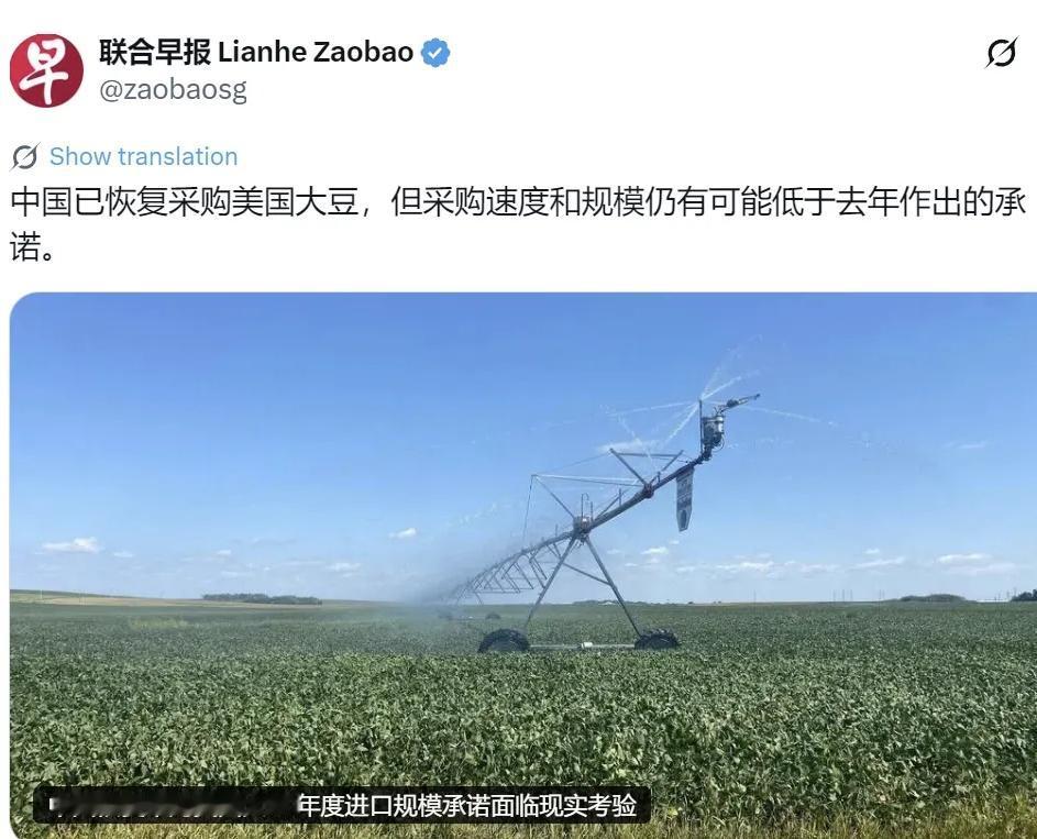 新加坡《联合早报》6月30日提到一条消息：中国已经恢复从美国采购大豆，但采购进度