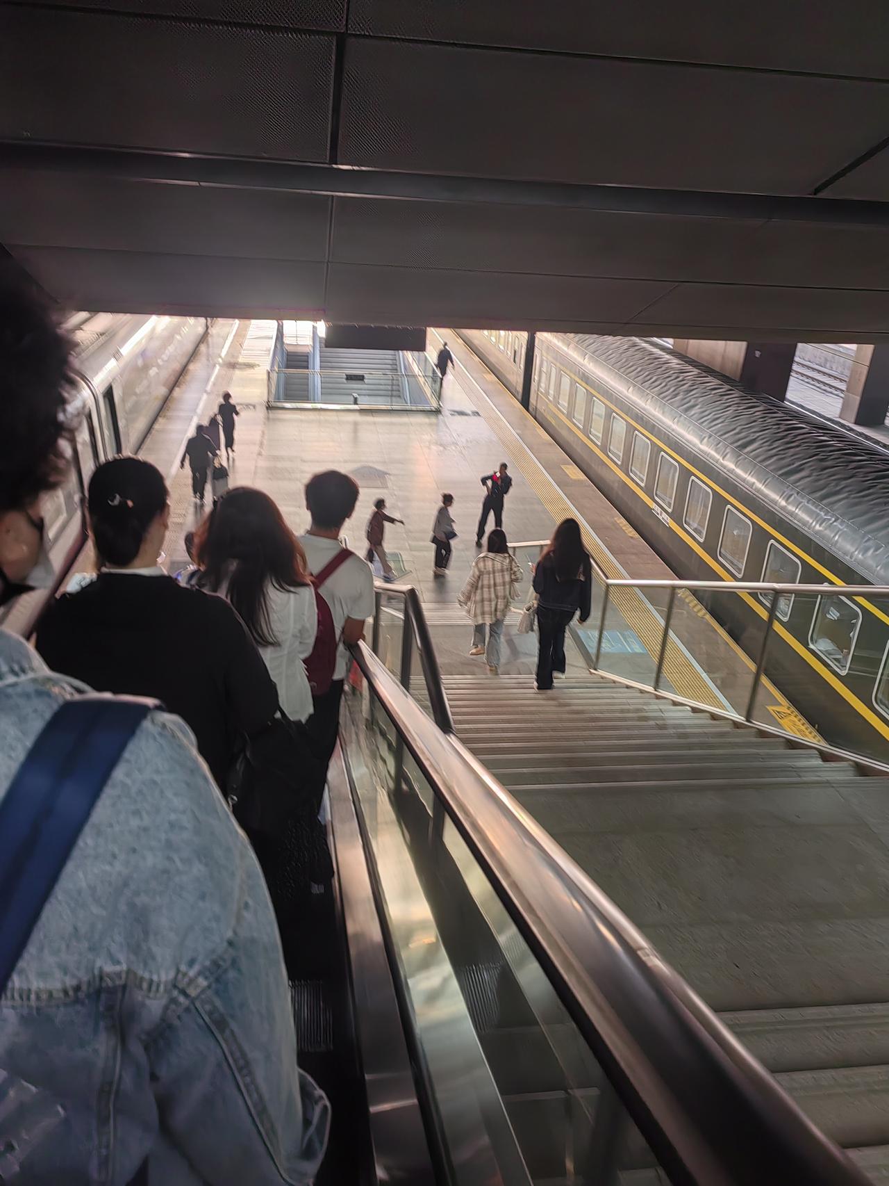 四点半起床，五点二十骑电动车从家里出发去西站，坐车到北京市欣赏牡丹花。
    