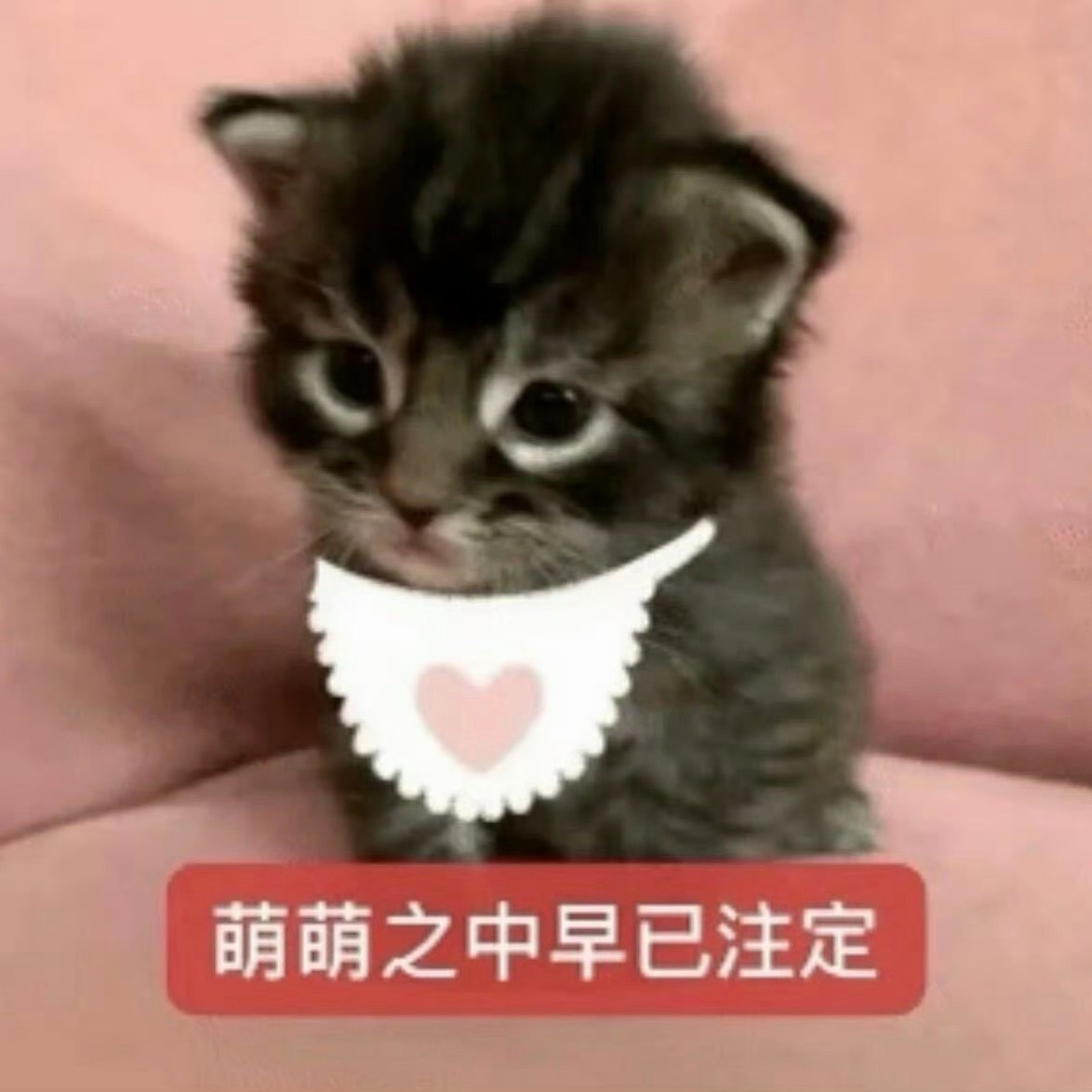阿弥陀佛 