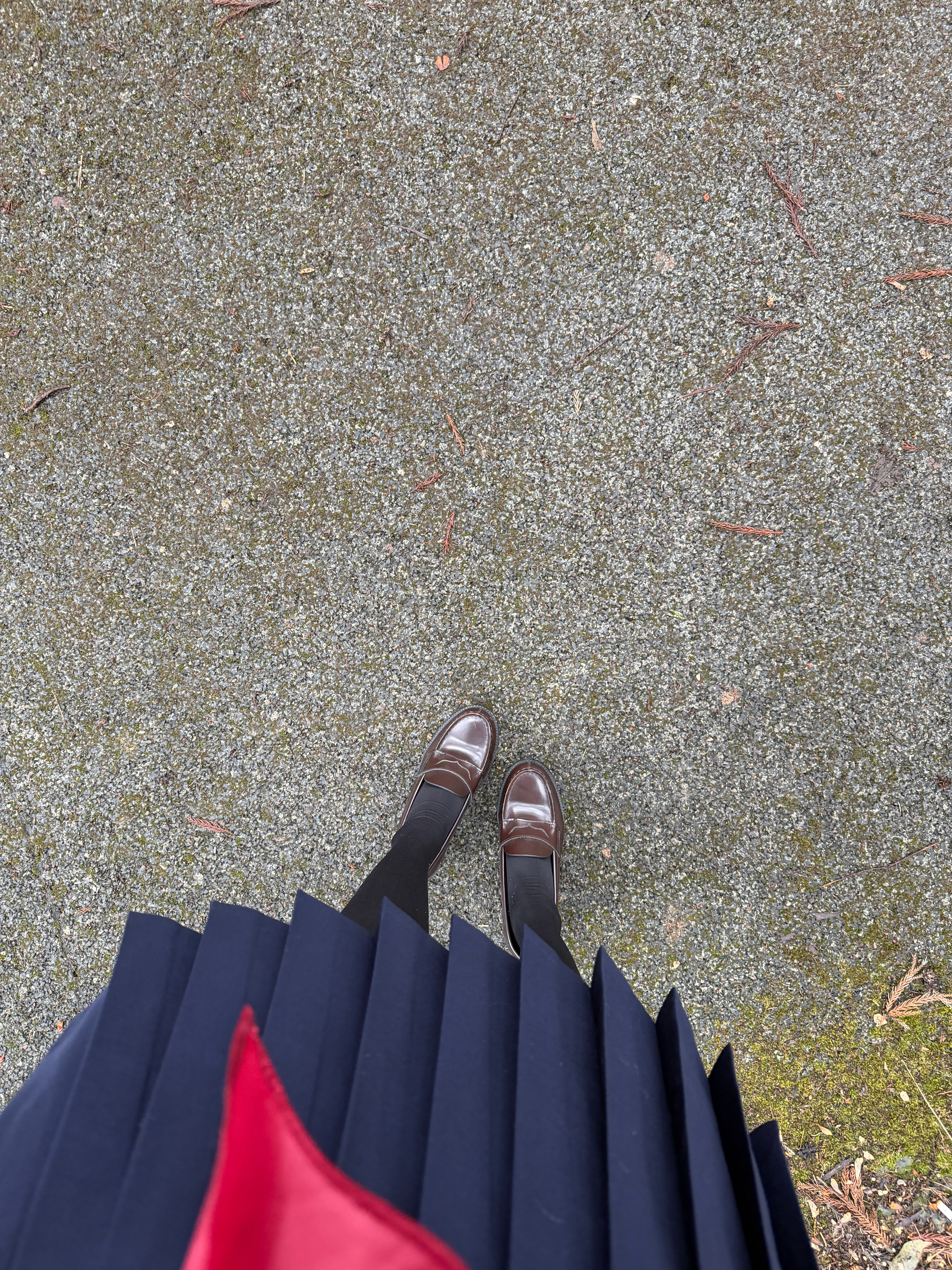 下午光拍照了都忘了加仓好在3点多一看软件红红的很安心 