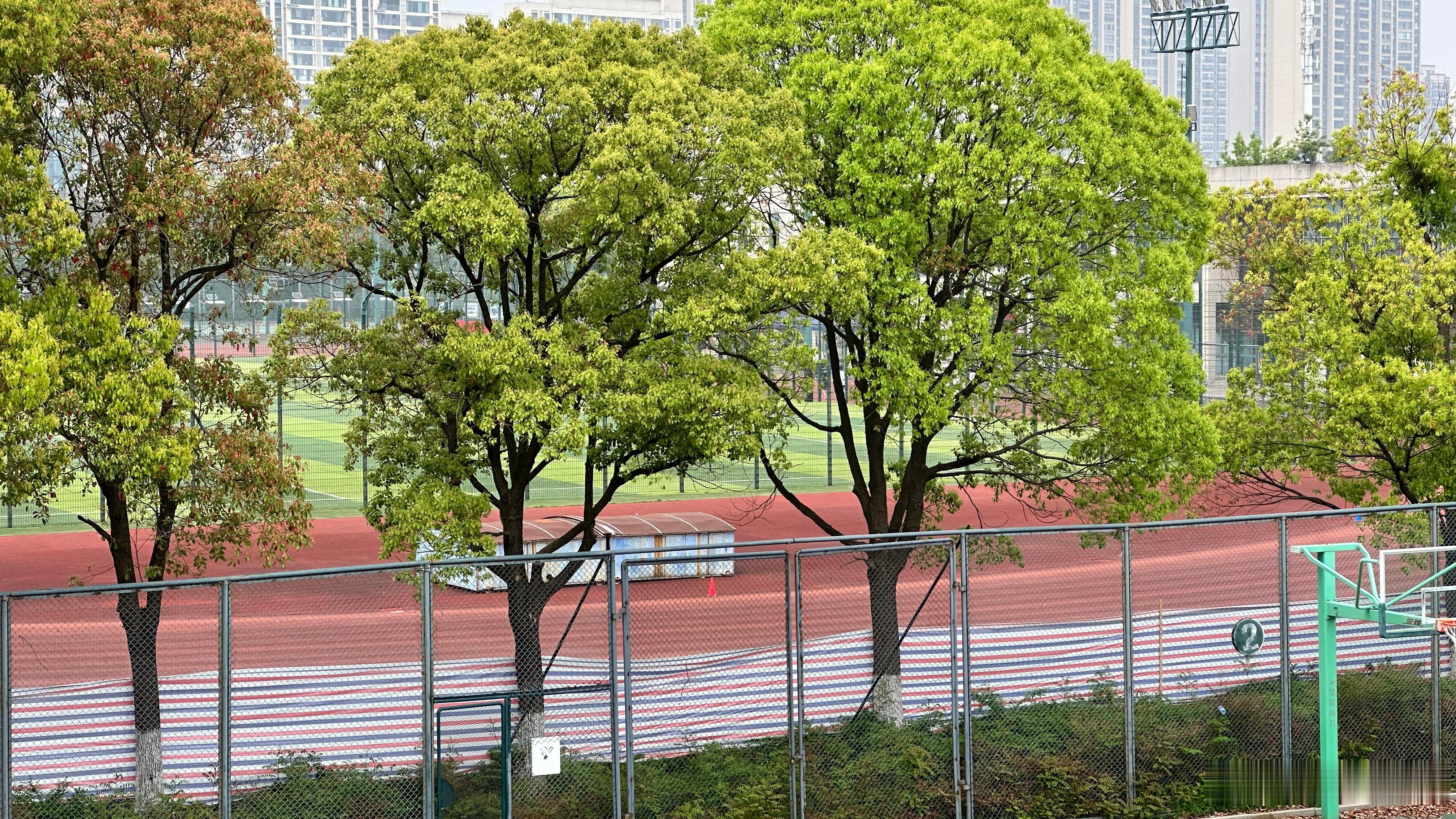 生活手记1周 完成 中考的体考 零模 听力和口语考试家长比孩子，还紧张。 