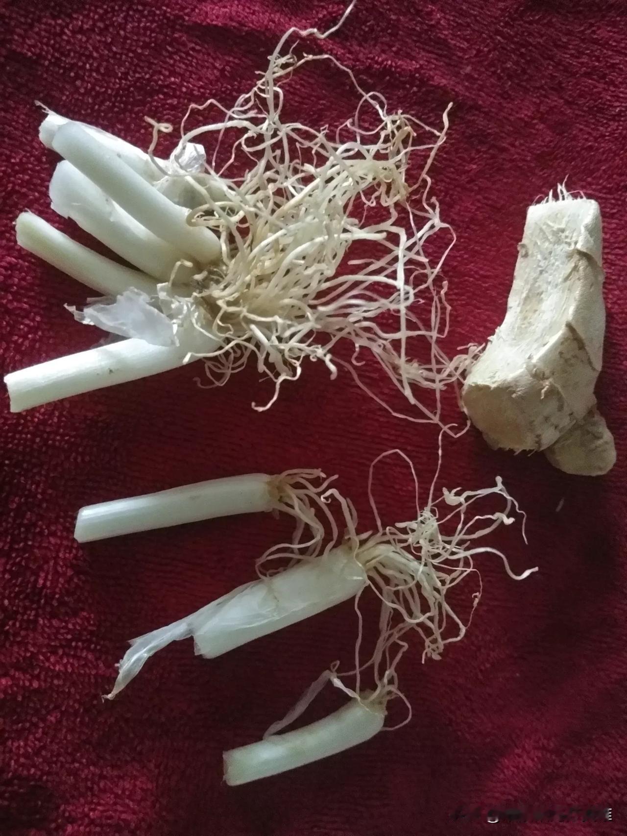 同事昨晚给我发信息，说自己感冒发烧了，我说你上个月也发烧了怎么这次又感冒了。他说