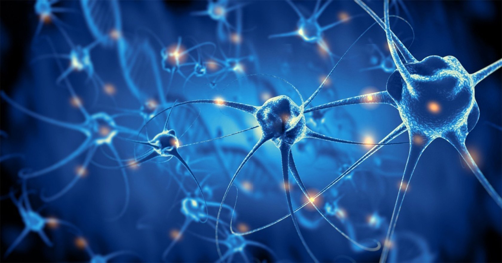 活体脑细胞学会机器学习！3月12日，国际知名学术期刊《美国国家科学院院刊》（PN