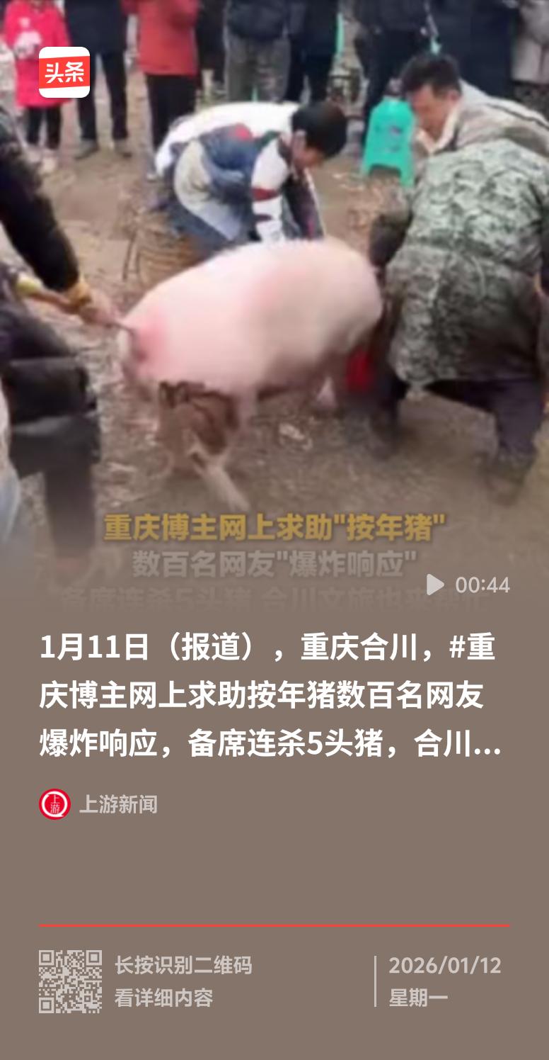 重庆合川一姑娘“闯大祸”了！网名呆呆的她，因父母年迈，自己又是女孩，担心按不住年