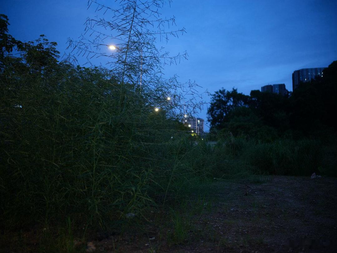 又是一个美美的蓝调夜晚时刻蓝调 拍摄于广州黄埔水西日落黄昏 富士GFX50S 腾