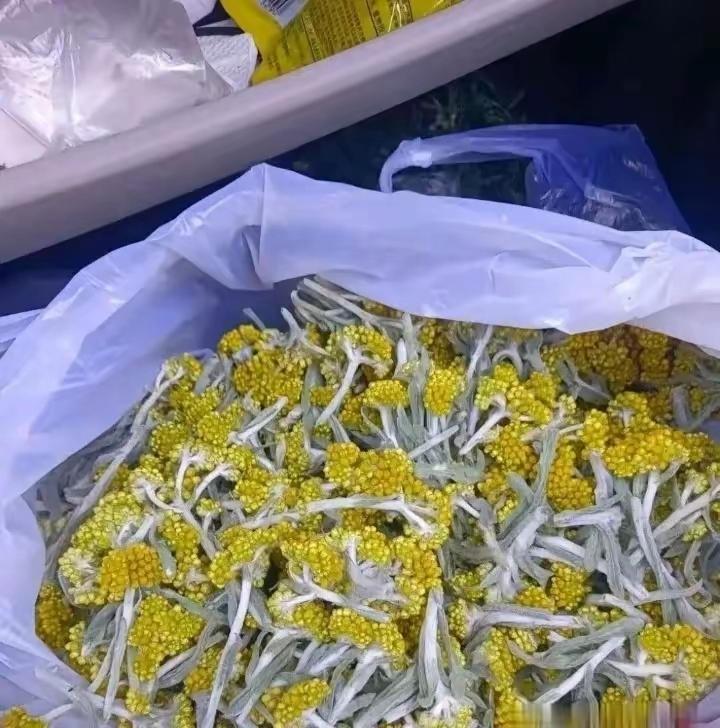 昨儿个去男朋友家里做客了！走的时候，他妈妈竟然给了我这么一大袋子的东西！里面到底