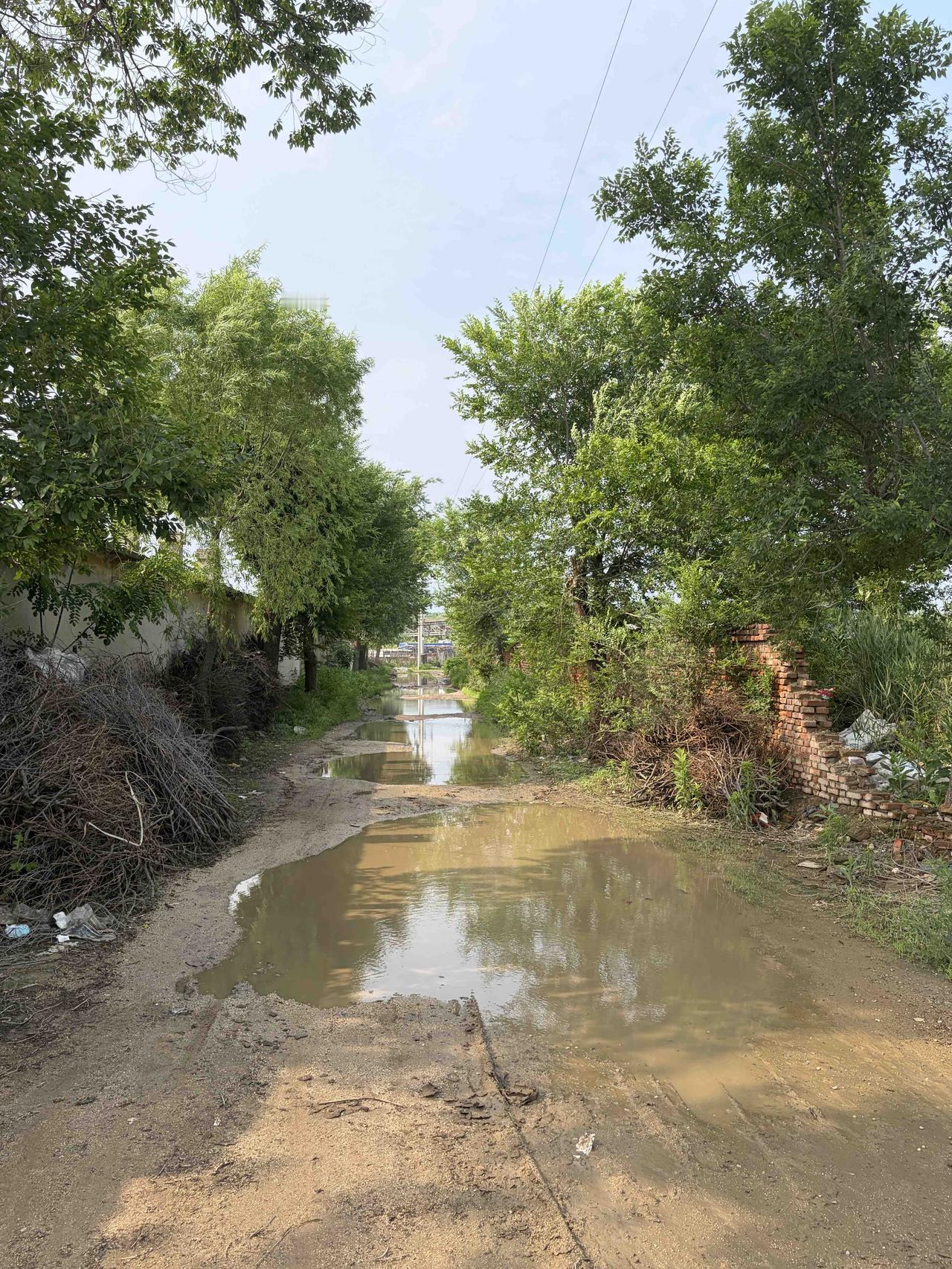只见路难行，好像走不通。
独自来郊外，唯有鸟叫声。
连日下雷雨，池塘有蛙鸣。
夏