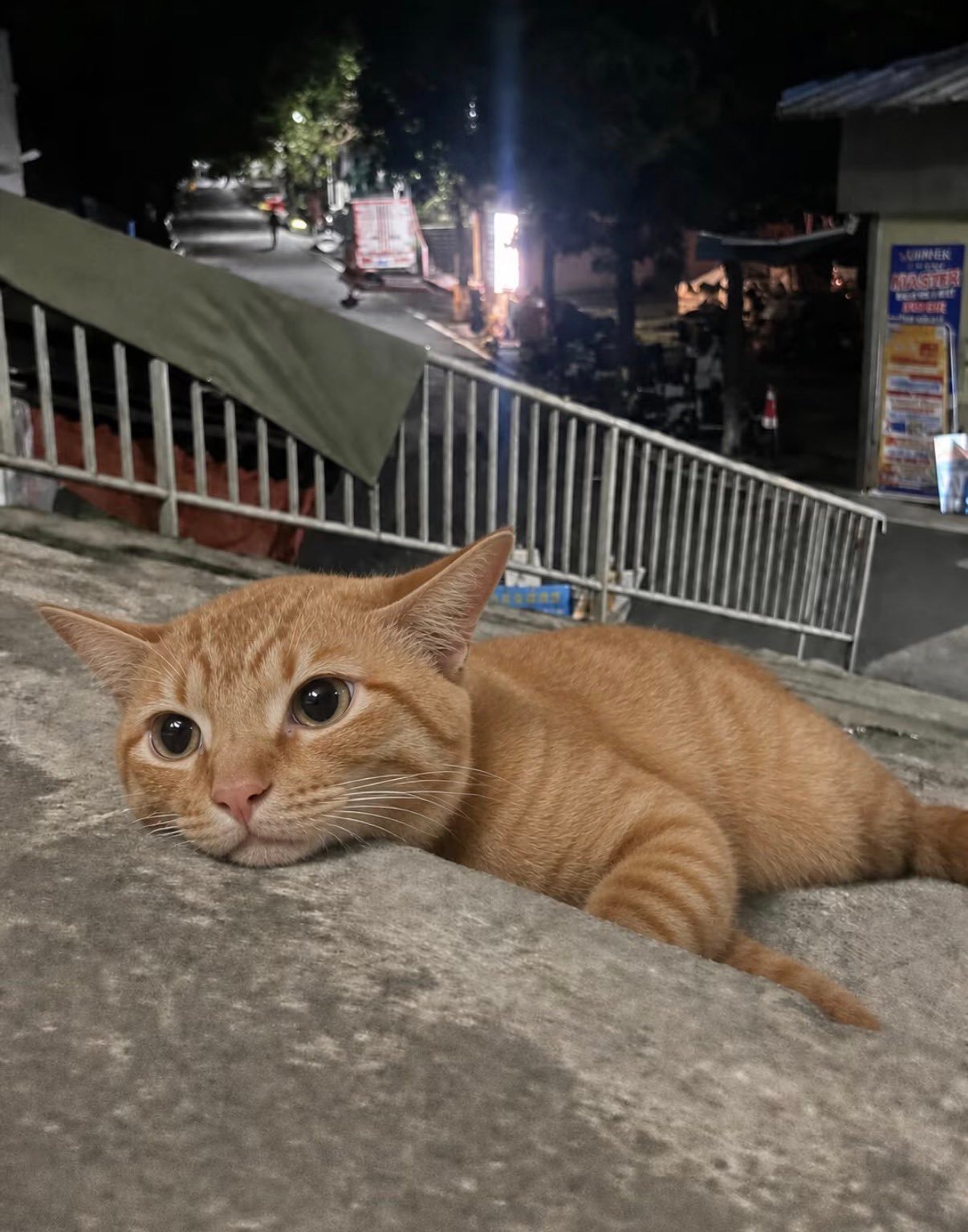 每天加班回来状态 