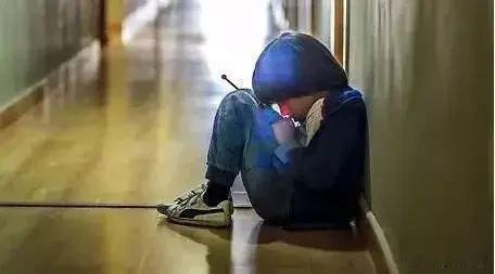 法塞两国联手破获的一起跨国儿童性剥削案，刷新了人性罪恶的底线。
由法国公民牵头操