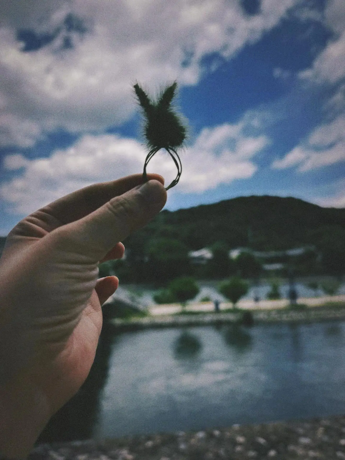 我在平静的日子里渐渐失去对爱的期待 我看到身边的人爱了分分了爱 明白感...