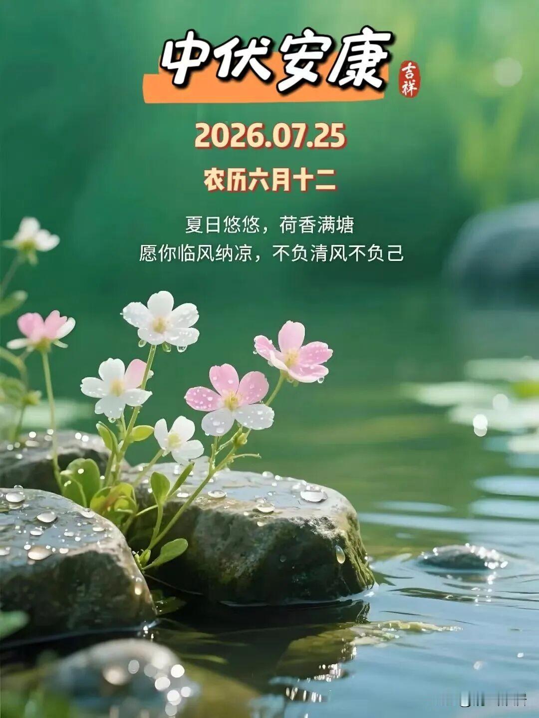 今天中伏，开启高温酷暑模式。前几天，连续多日的阴雨天气，暂时缓解。没有雨水打扰，