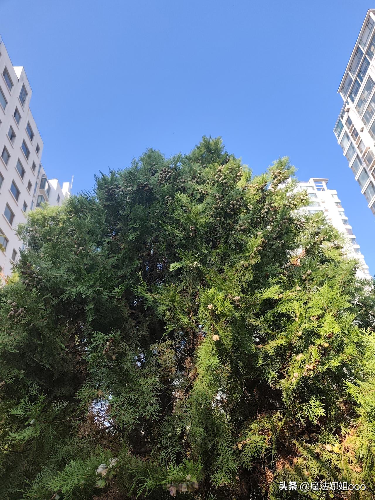 年过50岁才发现：
好女不跟男斗，才是最聪明的做法，即使对方是npd。

正常男