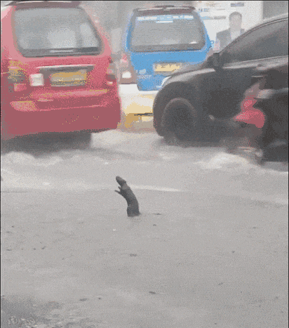 每天一想到我要睁眼面对这个世界我的心情就： 