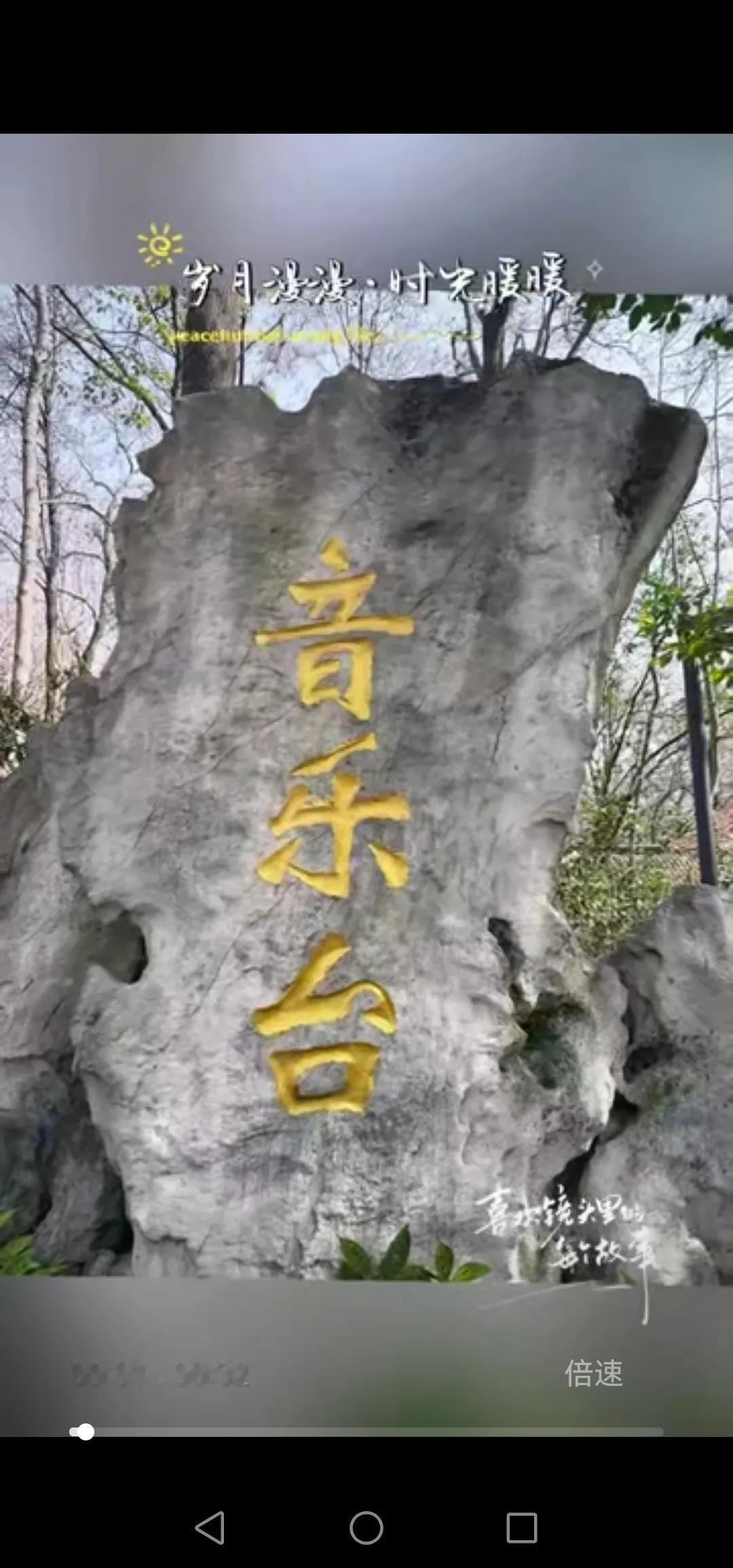 今天终于来打卡钟山风景区音乐台啦！（夏天女士）

我可是土生土长的东郊娃，中山陵