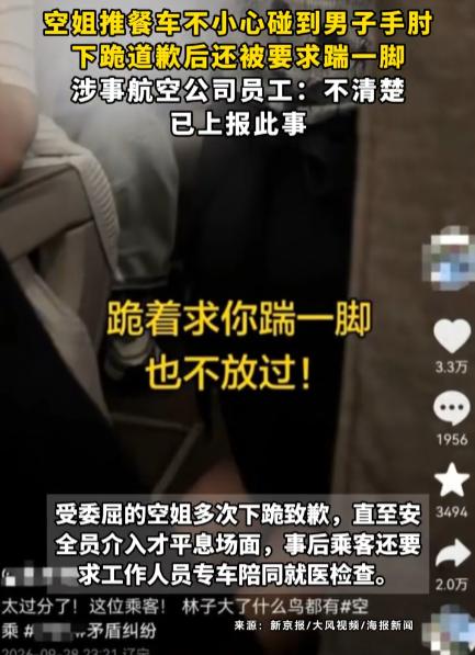 “得理不饶人！”一男子在合肥飞往大连的航班上，因被空姐的餐车撞到了手肘，就故意刁