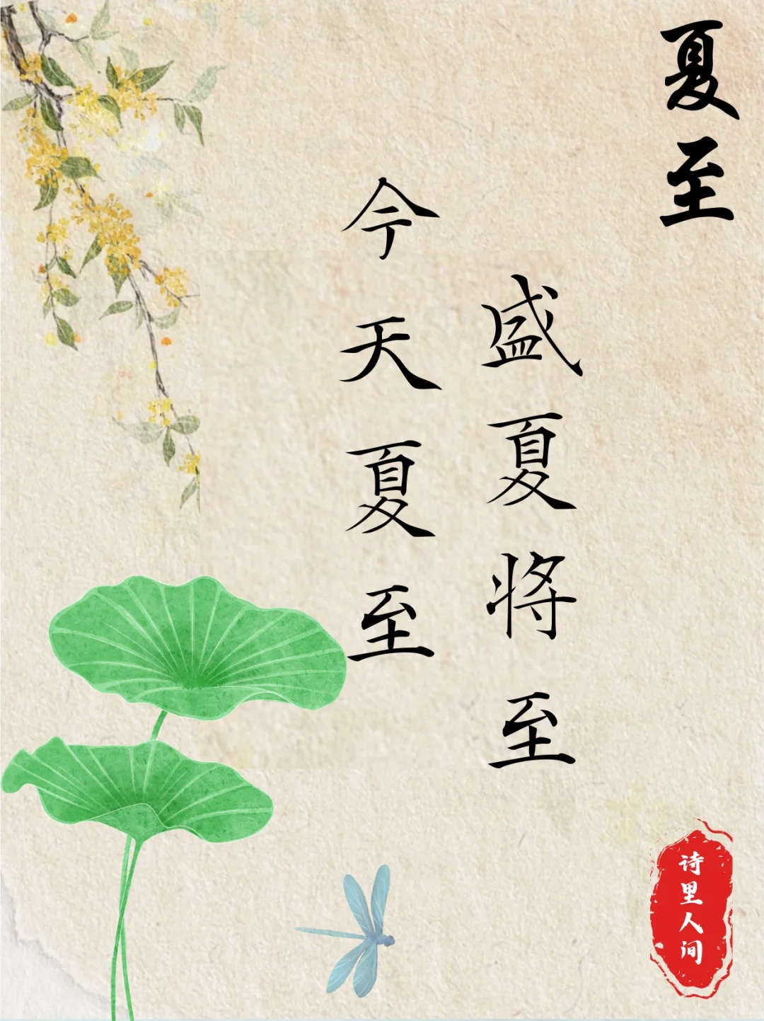 今天夏至，盛夏将至～