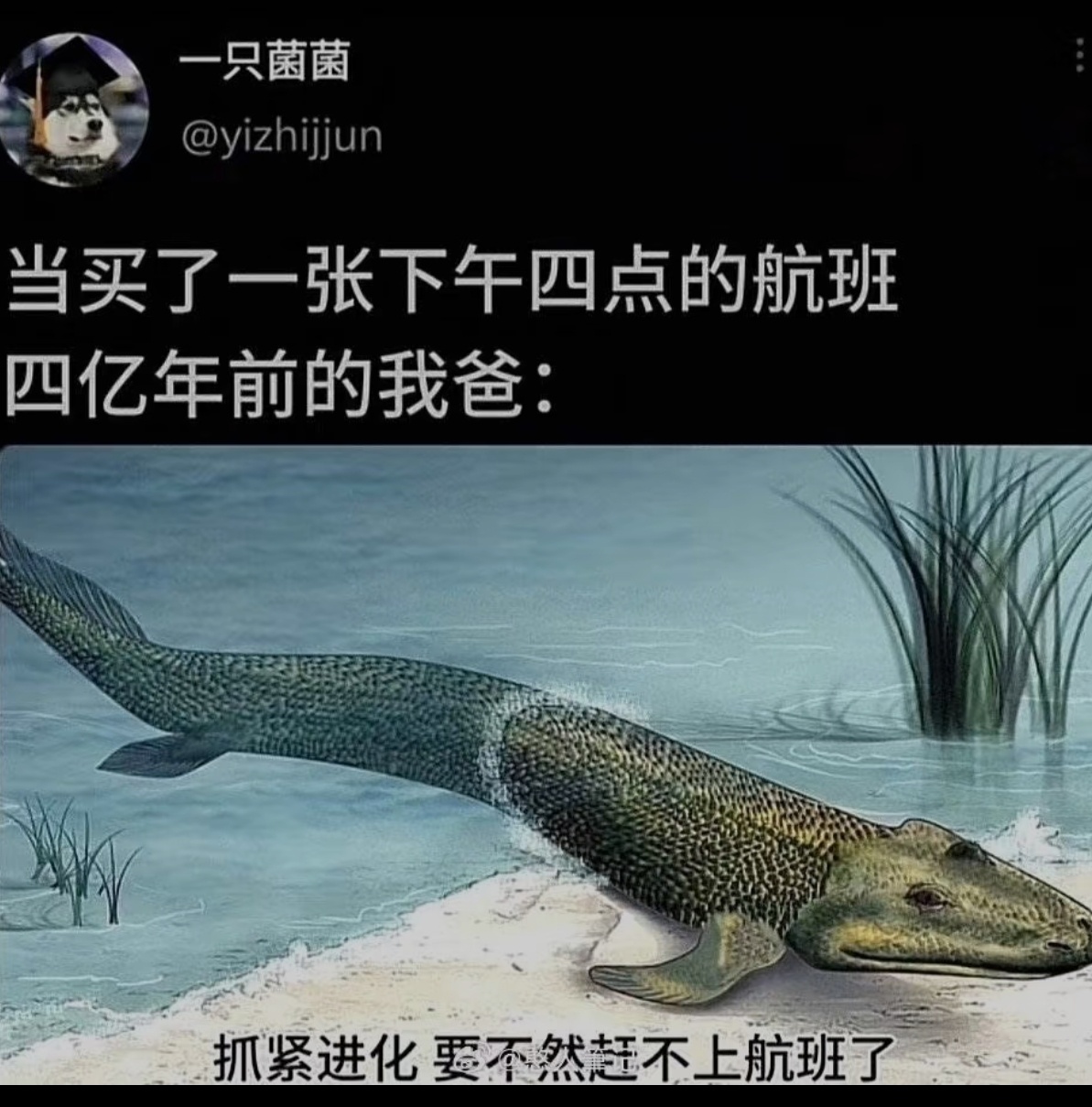 男子称赶到机场发现飞机提前5小时起飞看了一下发现这个锅还真不是航司的问题是OTA