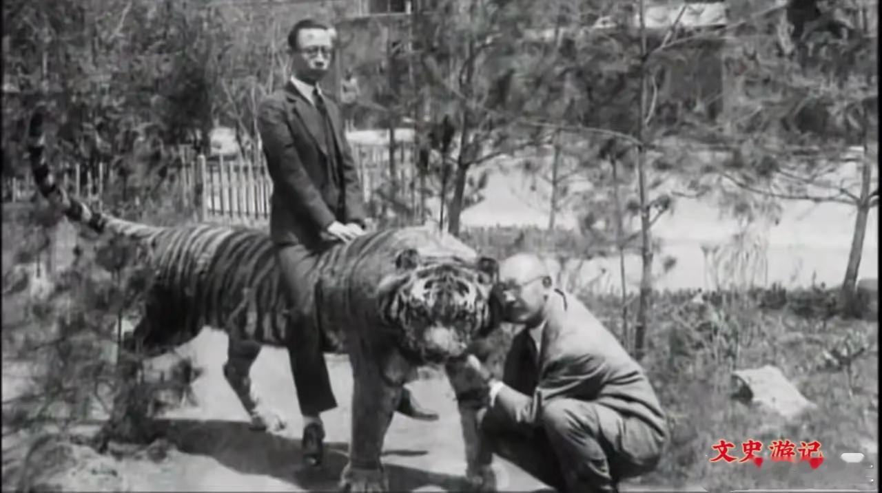 1935年，伪满皇帝溥仪访日期间，在阿苏山动物园拍下的“骑虎照”。蹲在一旁的，是