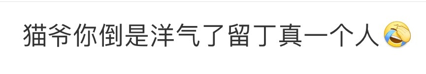 猫爷你倒是洋气了留丁真一个人 ber？猫爷怎么回事？一个人洋气不带我们丁真啊哈哈