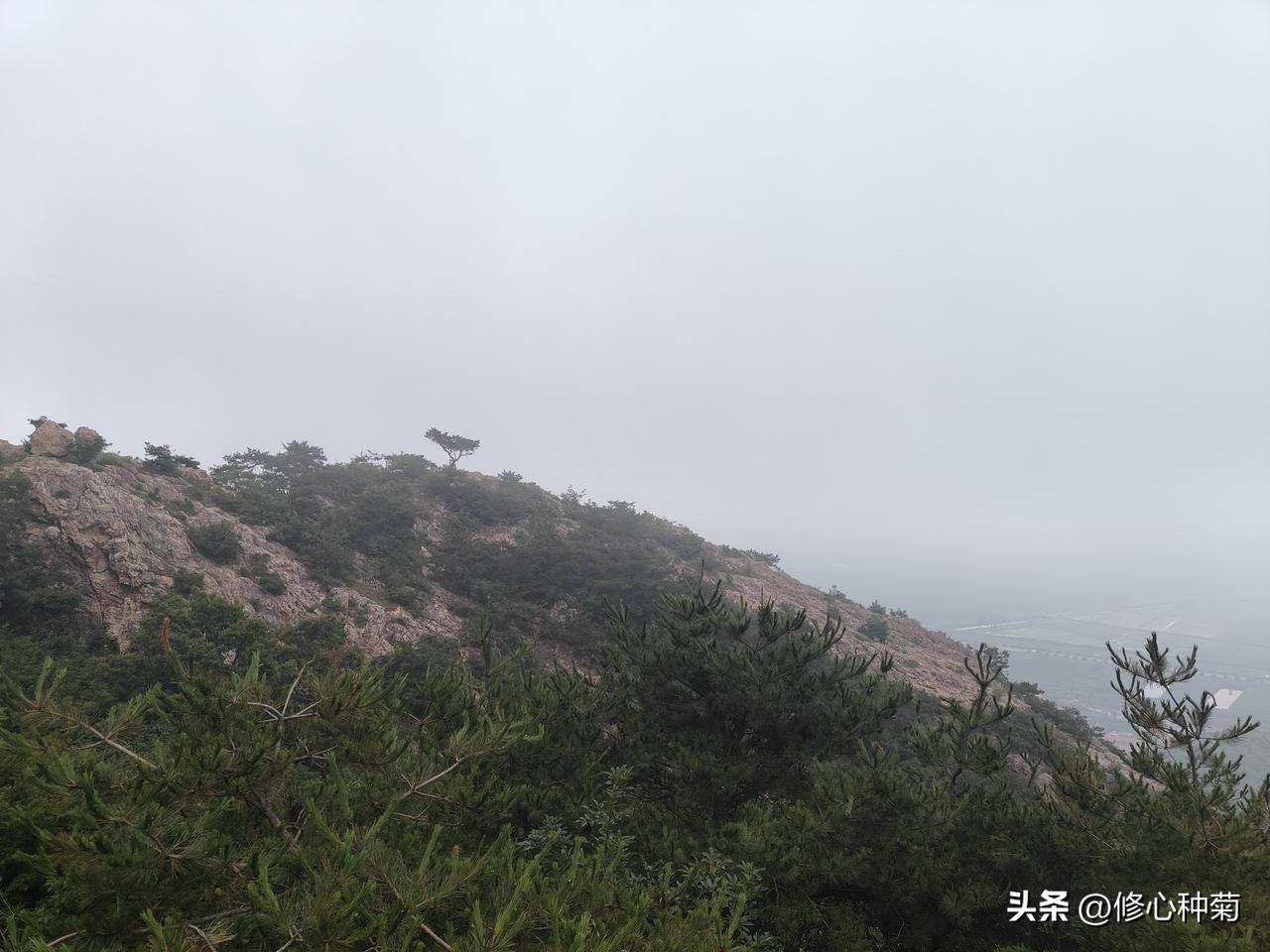 今日学习心得：
 如何成为一个心智成熟的成年人？
 
首先要认清真相：人生苦难重