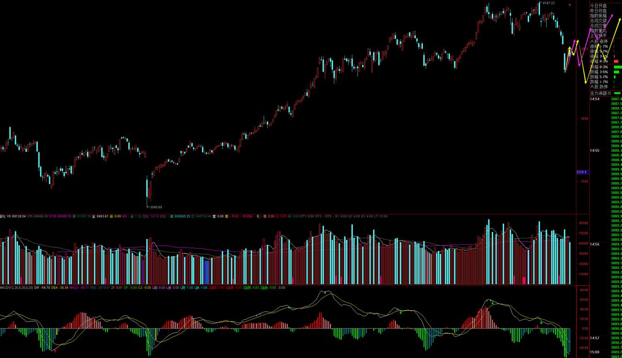 这轮牛市医疗生物不在热点上，整个大健康赛道除了创新药火了几个月，其它细分赛道均表