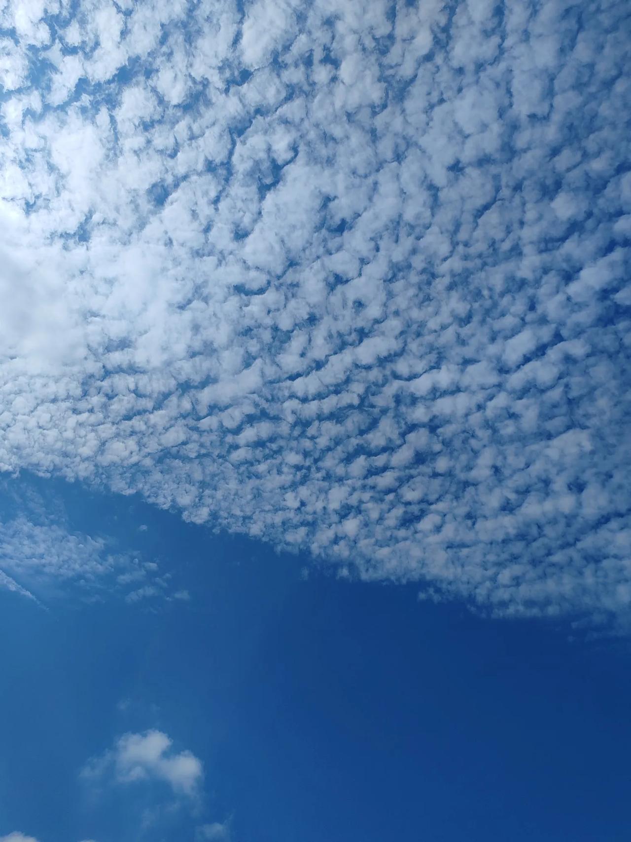 晒图笔记大赛有点秋高气爽的味道了天空打卡计划