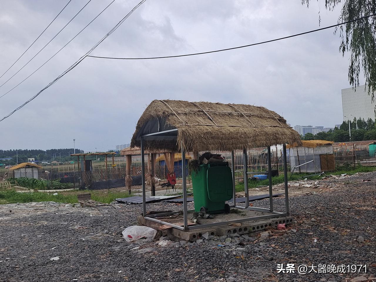 城镇退休有事干
共享菜园城市见
菜园一般郊区建
不是很远也方便
十米长来十米宽