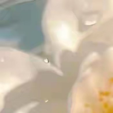 雨帘深处，春末的残红正与夏绿缠绵。一树海棠犹自秾丽，花瓣承着雨珠，似美人垂泪，欲