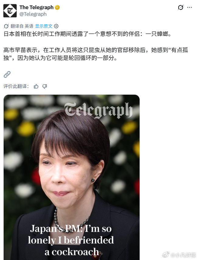 《每日电讯报》：日本首相的伴侣是一只蟑螂。在工作人员将这只昆虫从她的官邸移除后，
