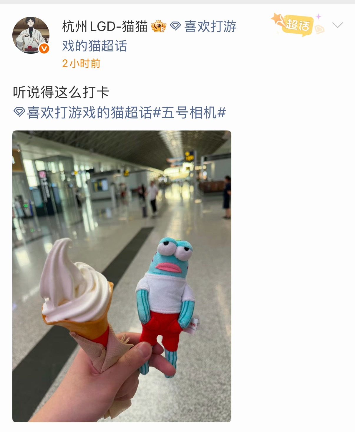 喜欢打游戏的猫  丑鱼和手机前的萌猫2026pel夏季赛2026pel