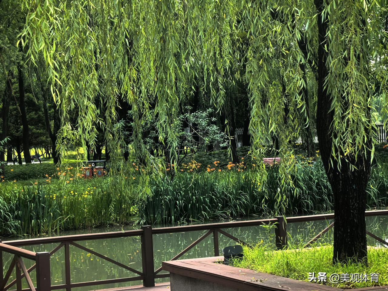 尚景·求知