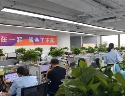 要多恶心有多恶心！公司把一个准备辞退，但员工个人不接受自己离职的员工，借着工位调