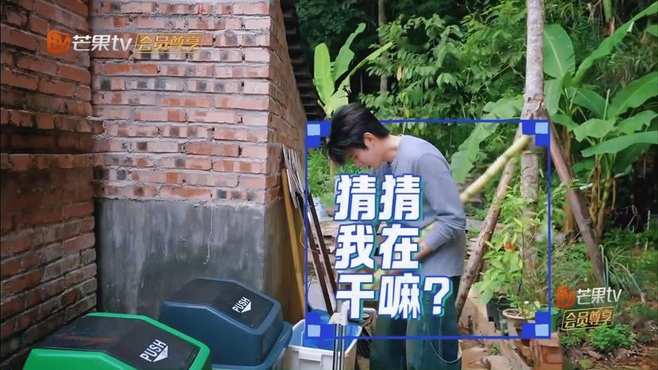 任豪口嫌体正直《欢迎来到蘑菇屋》名场面！周震南、张颜齐递吃的，他嘴上说不吃却乖乖