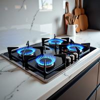 家中燃气泄漏关乎生命财产安全，了解其征兆十分必要。常见征兆如下：

  • 气味