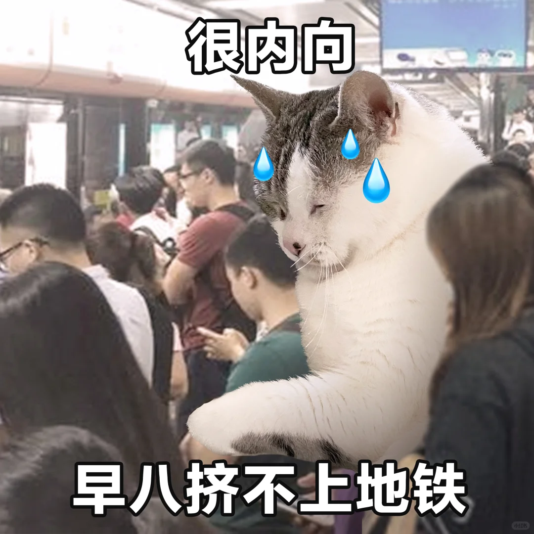 表情包 | 早八我跟你拼了