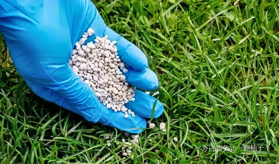 全球化肥市场又迎来一波紧张行情，俄罗斯农业部正式发布公告，宣布从3月21日至4月