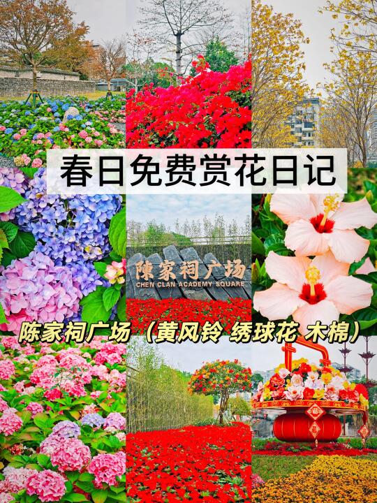 角落的春天·国风意境的陈家祠赏花圣地🌸