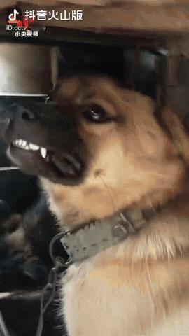 警告小日子，别逼我们“亮剑”。
狭路相逢勇者胜，逢敌必亮剑。