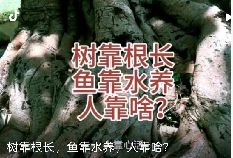 树靠根长,鱼靠水养,人靠啥?树靠根长，鱼靠水养，人靠啥
树凭深根方能挺拔向上，鱼