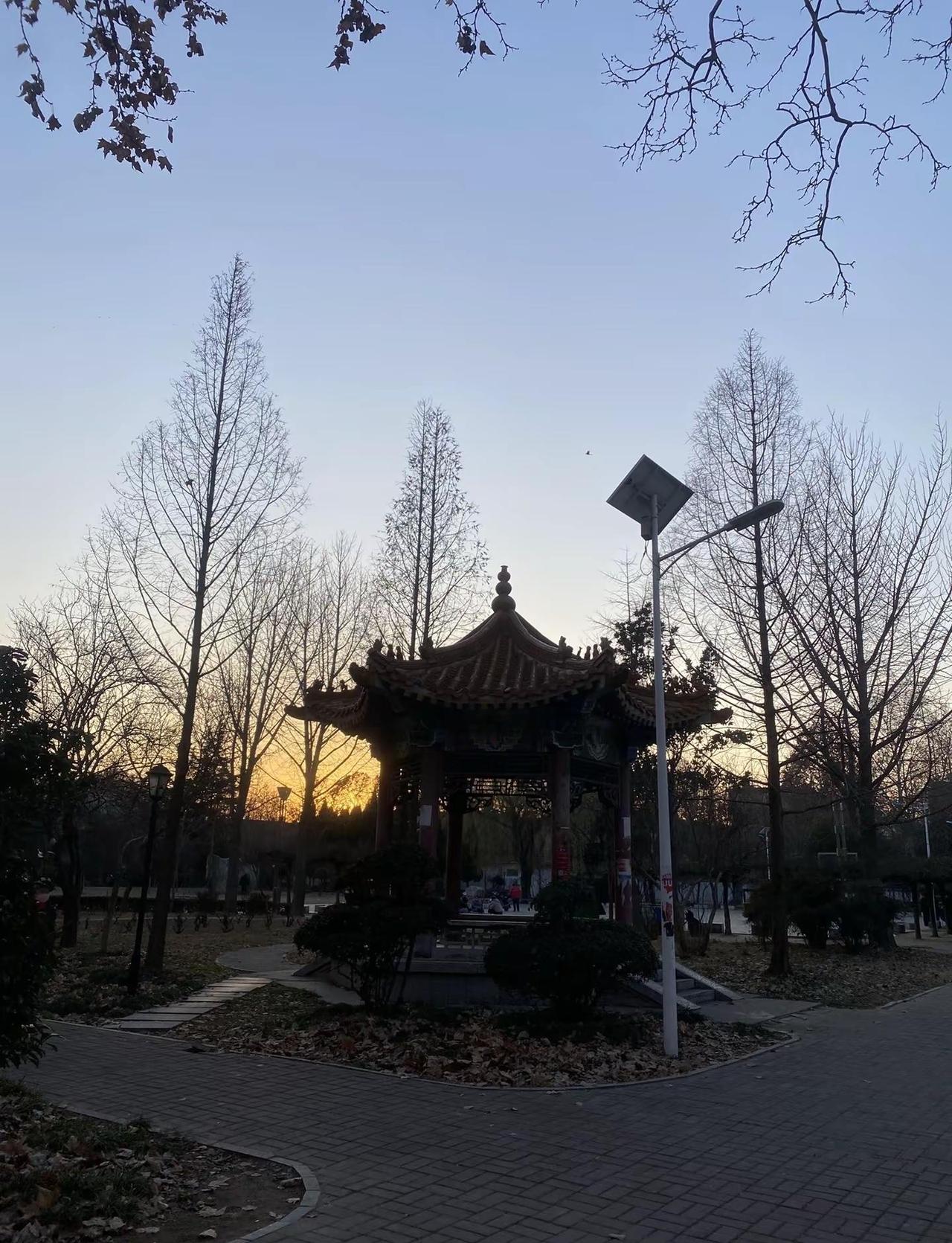 人类幼崽的迷惑行为📸