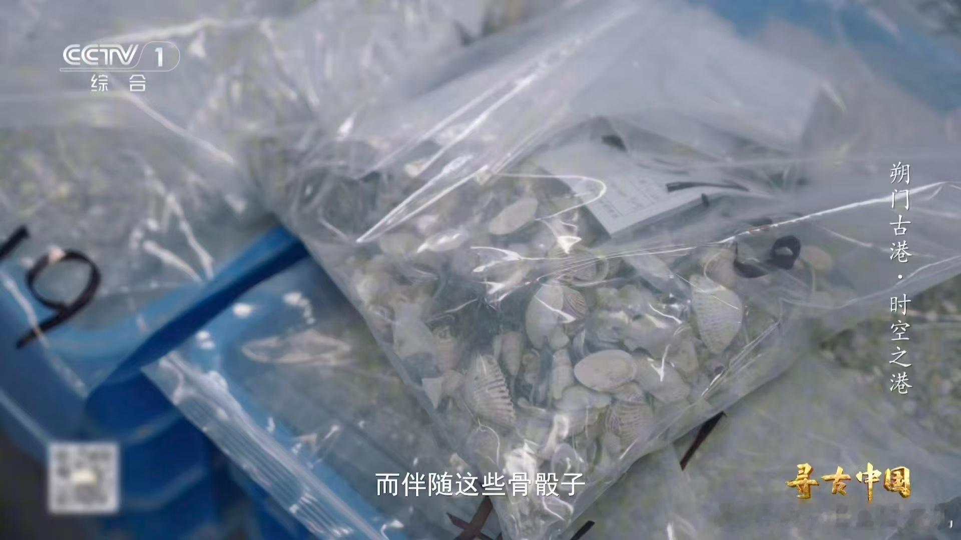 温州一千多年前就流行嗦螺了古人也吃血蛤 朔门古港的贝壳告诉我们，享受美食这件事不