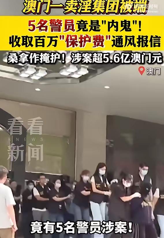 好家伙，这哪是“桑拿”，简直是“藏污纳垢”的VIP会所！
表面蒸的是汗，背地里蒸