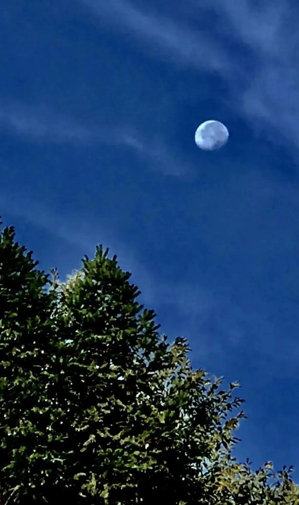 △初秋抒怀△
入秋已识稻谷香，
只因天气渐变凉。
念花思绿夏走远，
拾叶见黄情萦