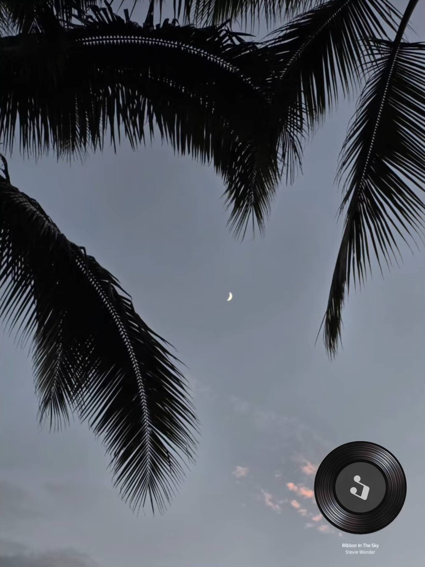 金裕贞 260214➠ins story更新 @ you_r_love💽Rib