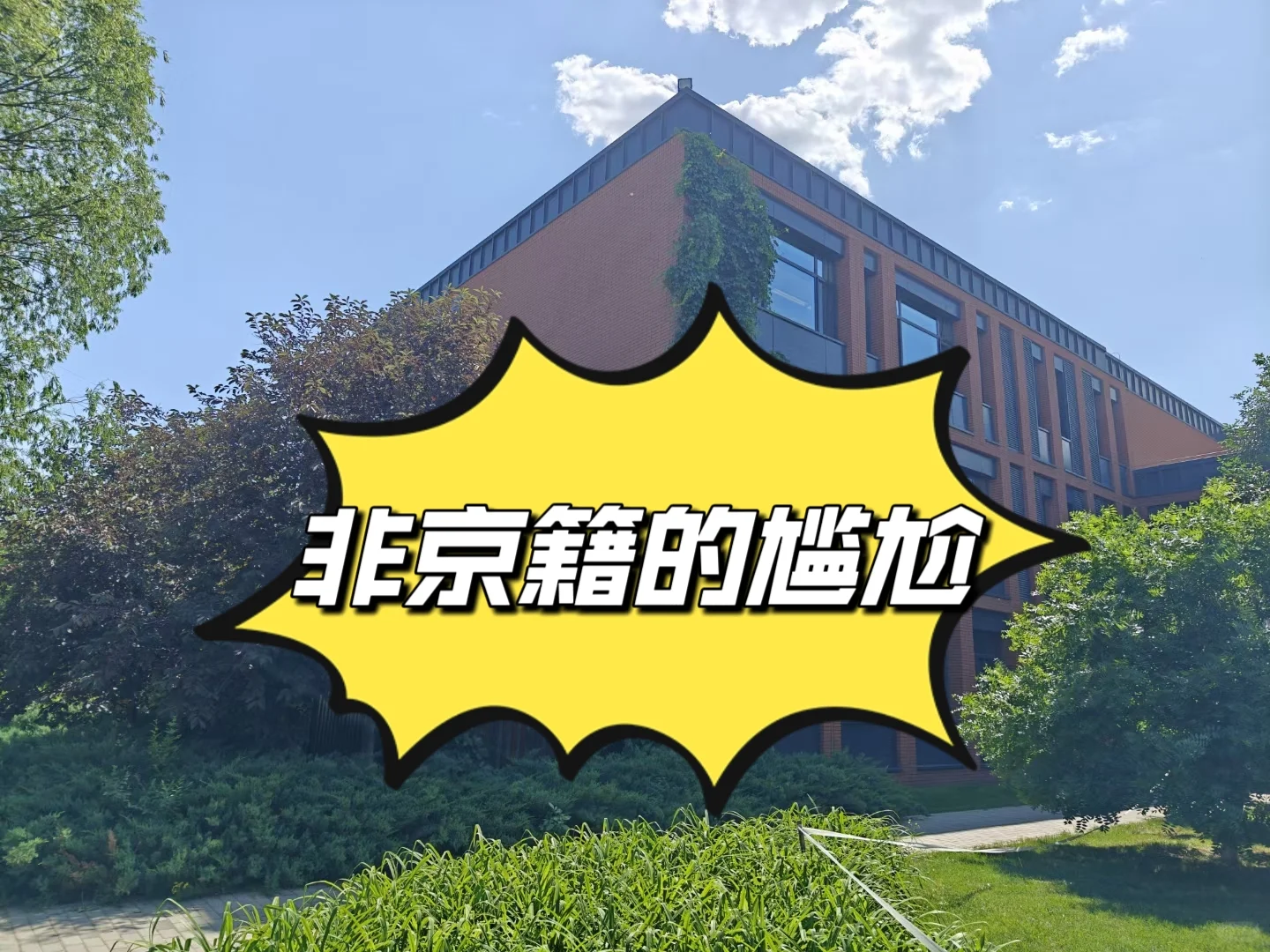 回原籍38%高中升学率！我选择走国际！