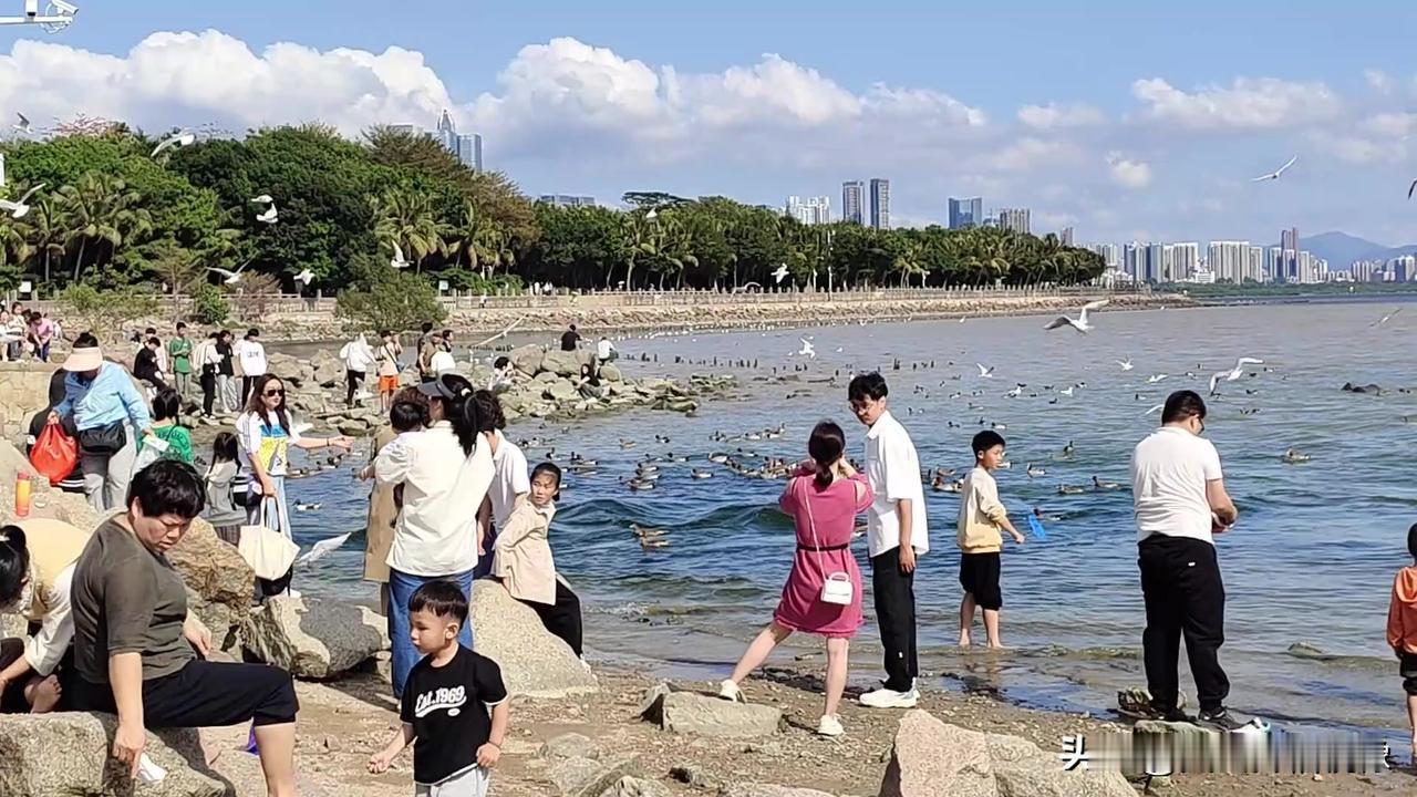 深圳湾公园是深圳市内沿海岸线最长的公园。
从福田区到南山区，公园包括 14 个各