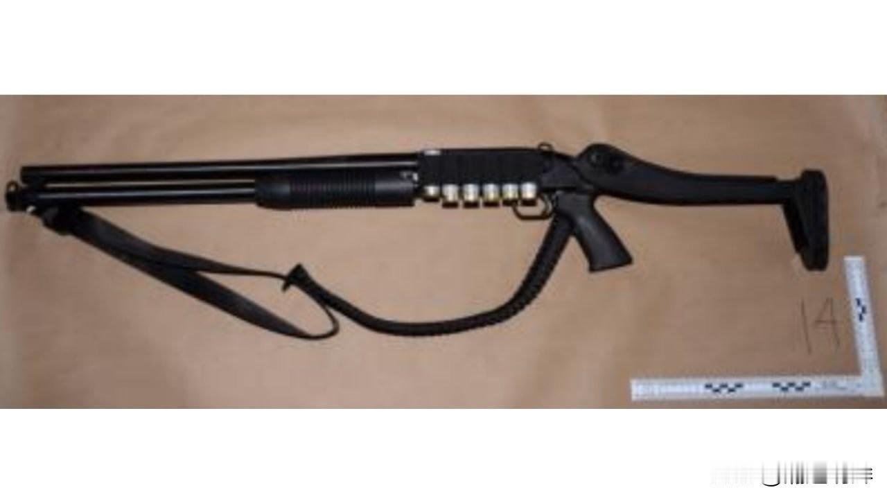 针对白宫记者协会晚宴枪击事件的嫌疑人科尔·艾伦，已被正式指控企图刺杀美国总统。