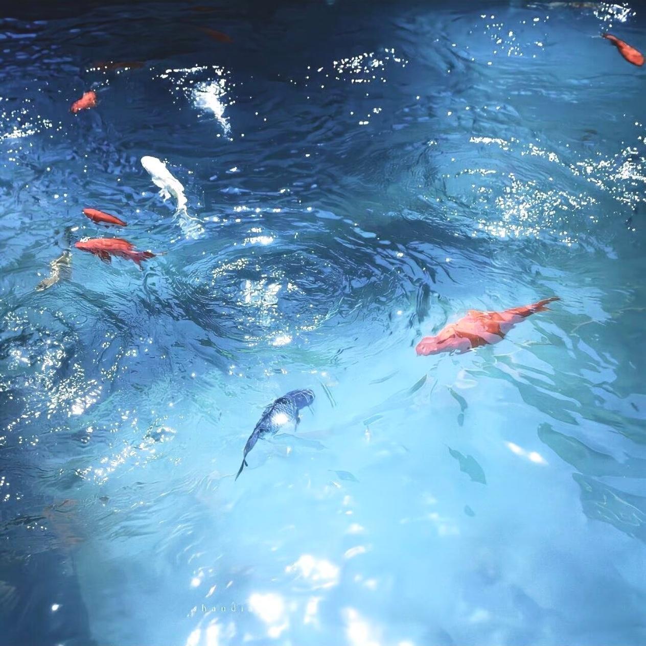 WeChat｜背景图分享｜春天｜清新 