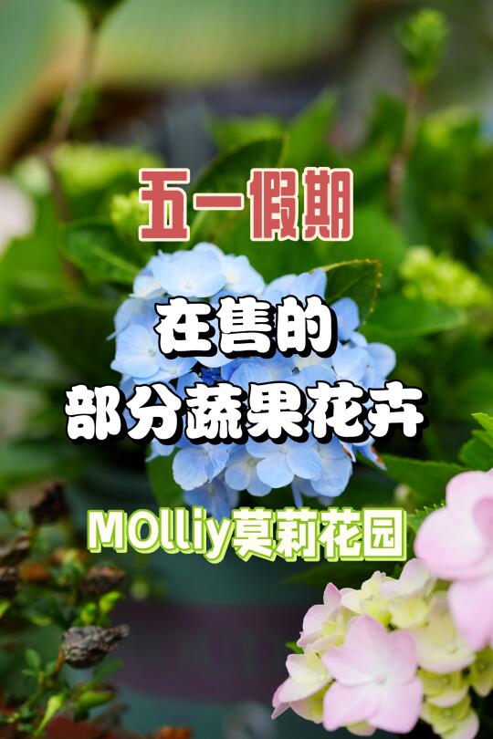 五一假期，莫负春光！出来走走逛逛吧！