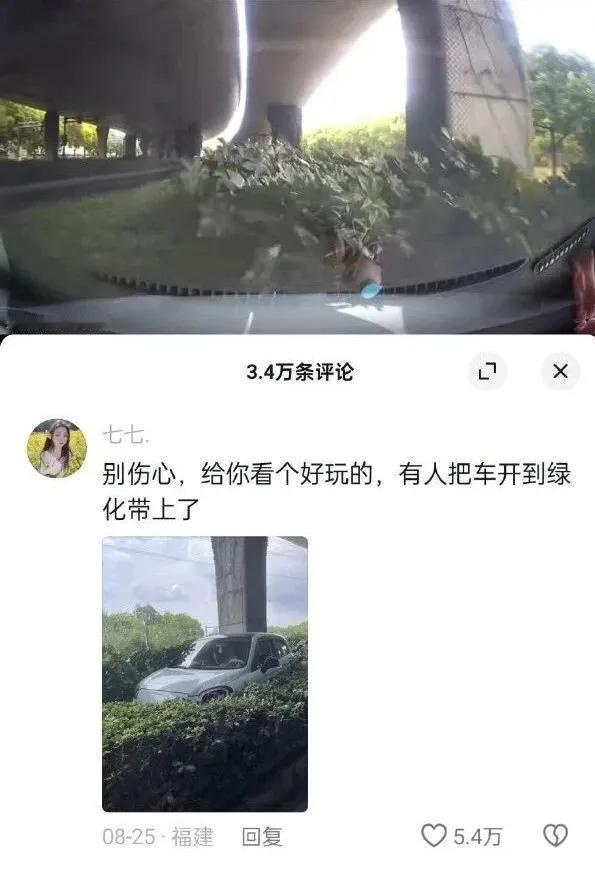 #秋日生活记录#把车停绿化带罚多少？罚2000吗？[what]
